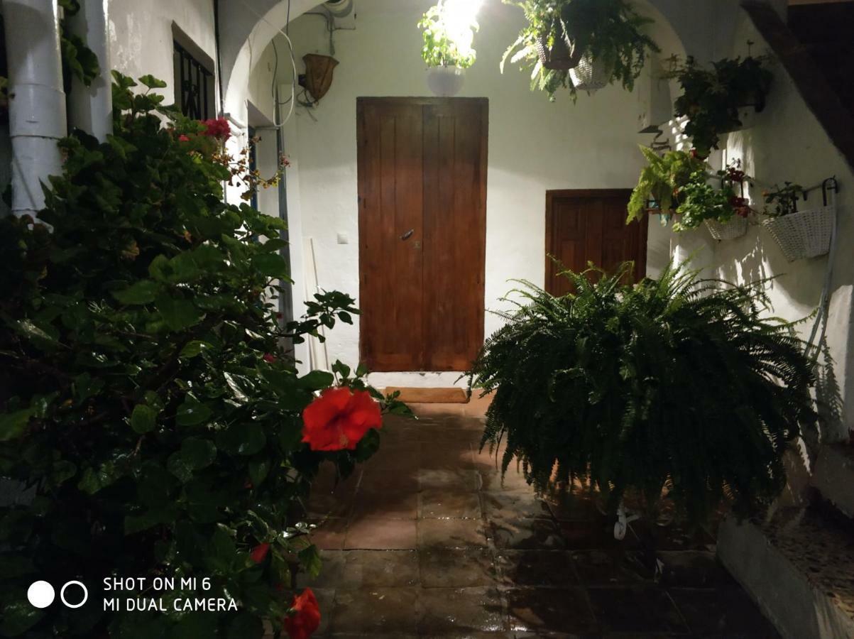 Appartement The Best In The Center Of Tarifa Extérieur photo